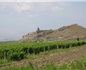 保加利亞和亞美尼亞釀酒商將展開合作
