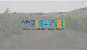 以色列葡萄酒產區介紹