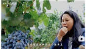 葡萄酒大師劉琳MW來到美賀莊園