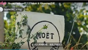 Roger Federer代言的Mo?t & Chandon香檳視頻