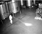 一男子潛入西班牙酒莊 傾倒了200萬歐元葡萄酒