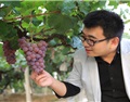 陳佳威：將中國葡萄酒發揚光大