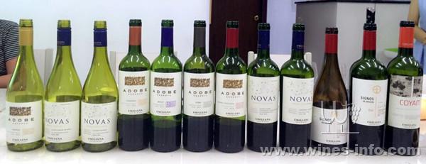 智利埃米利亚纳emiliana酒庄有机葡萄酒品鉴会在南宁成功举办