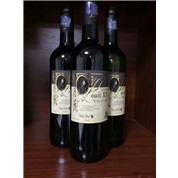 法國威爵酒莊路易十二干紅葡萄酒