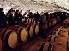 11月，来一场勃艮第葡萄酒拍卖会之旅吧!