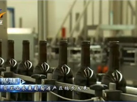 【視頻新聞】賀蘭山東麓葡萄酒產區穩步前進