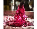 红葡萄酒的酿造艺术——发酵中的提取
