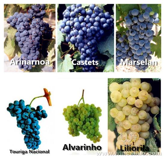 法国波尔多葡萄酒产区新增六种法定葡萄品种