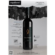 西班牙Copaboca酒莊招獨家代理