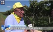 能源價格上漲嚴重沖擊意大利葡萄酒產業