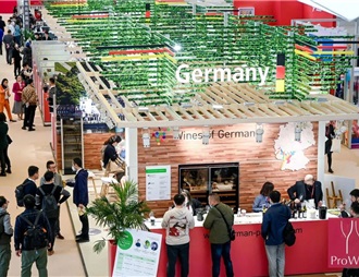 德國葡萄酒2022年中國進口量再創新高