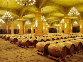 通化市打造“中国味道”推动葡萄酒产业振兴发展