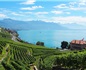 瑞士希望采取更多财政手段支持葡萄酒产业