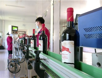 新疆和硕：葡萄酒企业开足马力生产忙