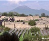 意大利庞培古城复原古老葡萄种植园