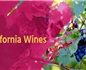 美国加州葡萄酒产业年产值达730亿美元