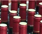 用西班牙葡萄酒假冒法国酒欺诈案在波尔多宣判