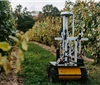 机器人帮助葡萄酒产业实现现代化