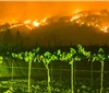 气候变化正在侵蚀澳大利亚葡萄酒产业
