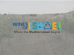 以色列葡萄酒产区介绍