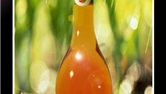 喜欢上美丽的匈牙利葡萄酒