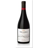 特惠产品：Terra Andina系列 Pinot Noir 2006