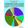 葡萄酒香气轮盘-Wine Aroma Wheel