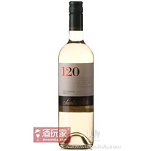 桑塔丽塔120白苏维翁干白葡萄酒