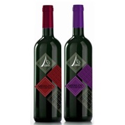 ENJOY MENT CABERNET SAUVIGNON