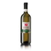 Trebbiano