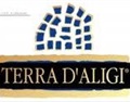 泰利帝爵酒庄 Terra d'Aligi