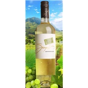 SIEGEL SAUVIGNON  BLANC  DRY  WHITE  WINE