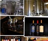 阿根廷酒乡之旅——Mendoza产区（五）