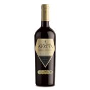 SAN JOSE DE APALTA RESERVA CABERBET SAUVIGNON