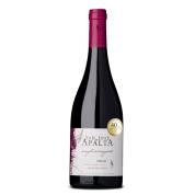 SAN JOSE DE APALTA SINGLE WINETARD SYRAH