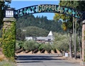 柯波拉酒庄 Francis Ford Coppola Winery（Inglenook Estate）