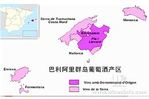 点击查看全图