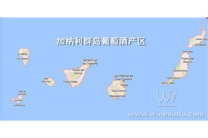 点击查看全图