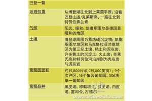 点击查看全图