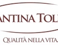 托若酒庄 Cantina Tollo