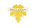 加莱加蒂酒庄 Azienda Gallegati