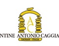 尼奥亚诺酒庄 Cantine Antonio Caggiano