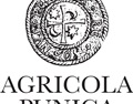 布尼卡酒庄 Agricola Punica