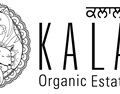 卡拉拉有机酒庄 Kalala Organic Estate Winery