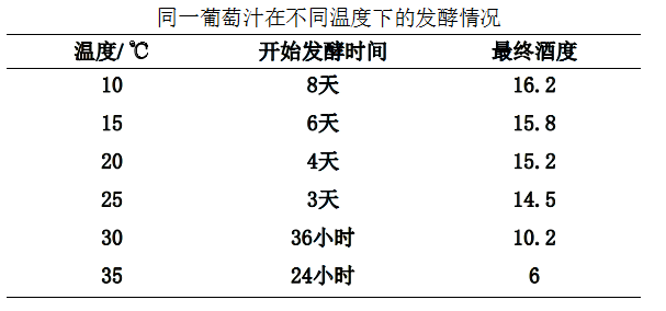 酵母与酒精发酵