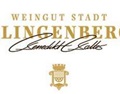 ​克林根堡酒庄 Weingut Stadt Klingenberg