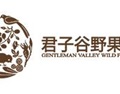 君子谷酒庄 GENTLEMAN VALLEY