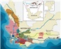 南非——被遗忘的新世界葡萄酒产区