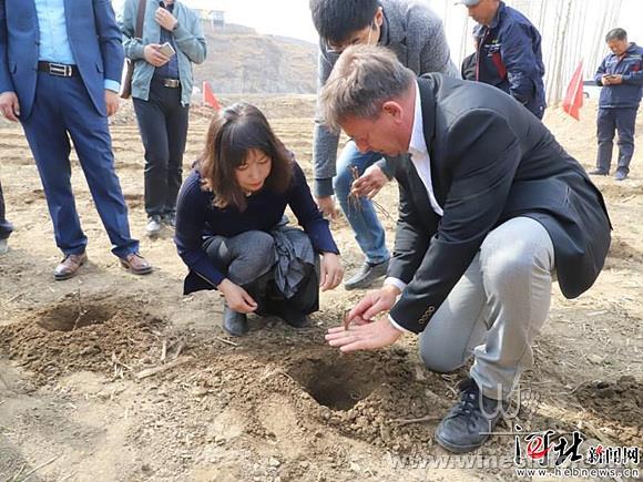 中法葡萄酒文化產業園區位於唐縣齊家佐鄉,項目總投資達36.