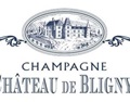 布赖尼酒庄 Chateau de Bligny